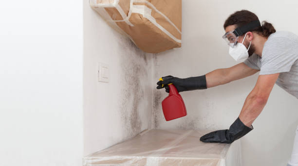 Professional Bathroom Mold Removal technician working in Erie, PA