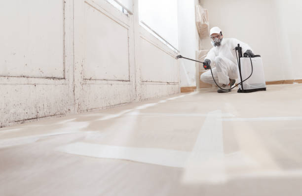 24/7 Emergency Bathroom Mold Removal experts in Erie, PA